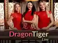  114 Evo Dragontiger Lq